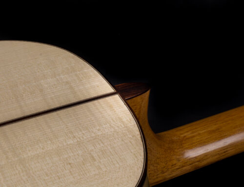 “Syrinx” model in flamed maple and spruce