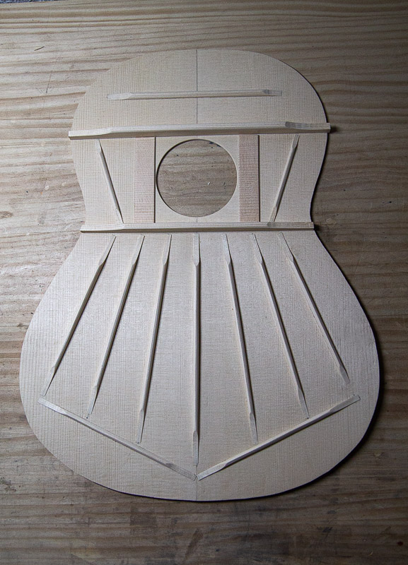 Guitar bracing pattern, after Antonio de Torres